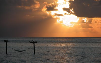 8 consejos para el verano