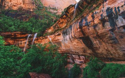 ¿Matrimonio? ¿Hijos? ¿Estamos locos?