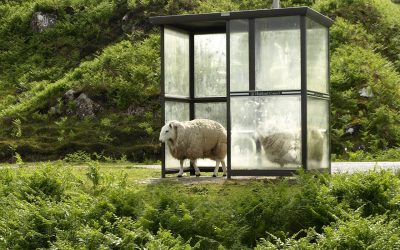 Aprender a esperar: no te sientas culpable