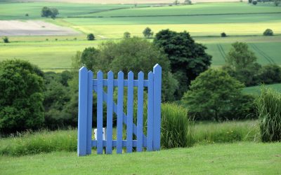 10 tips for practising english this Christmas