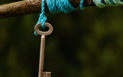 Cómo explicamos… la importancia de las normas en la familia