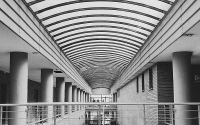 ¿Qué carrera escojo?